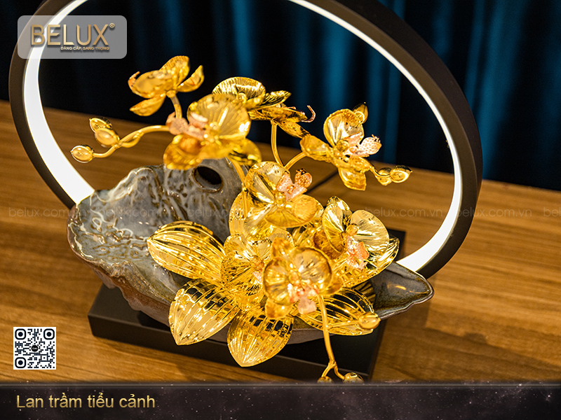 Lan trầm tiểu cảnh&nbsp;